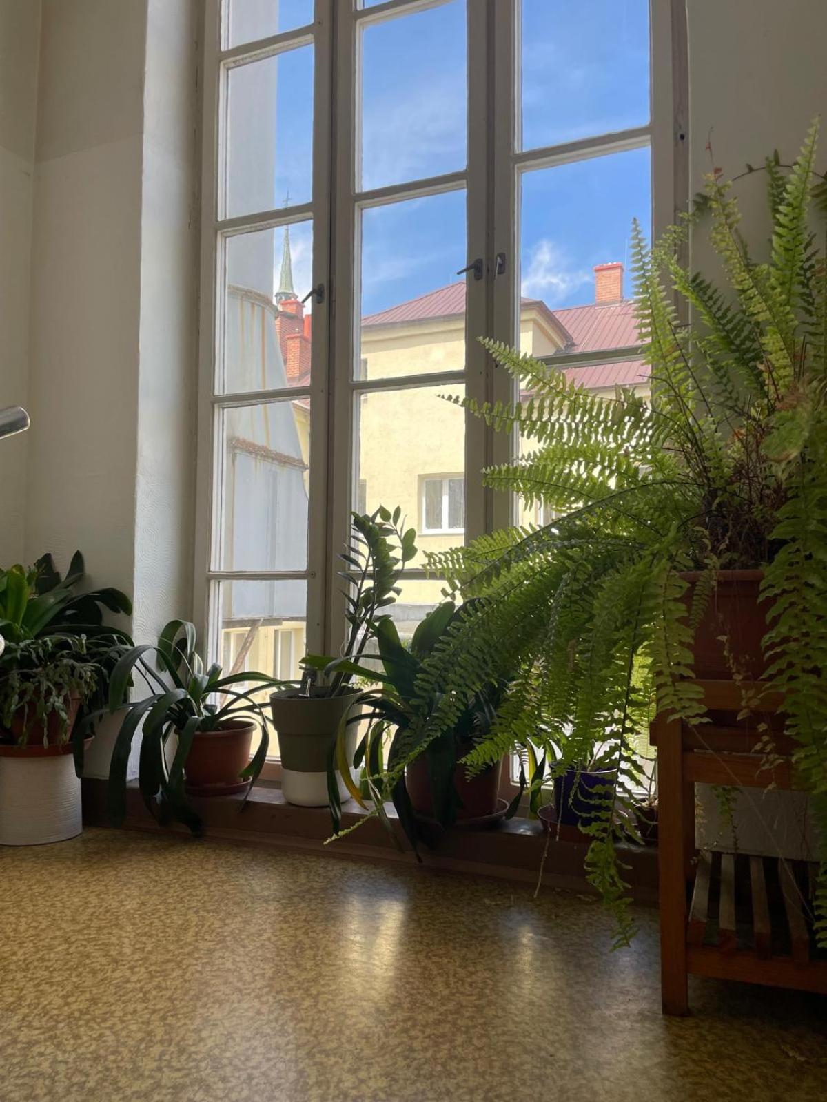 Hostel Moravia اوسترافا المظهر الخارجي الصورة
