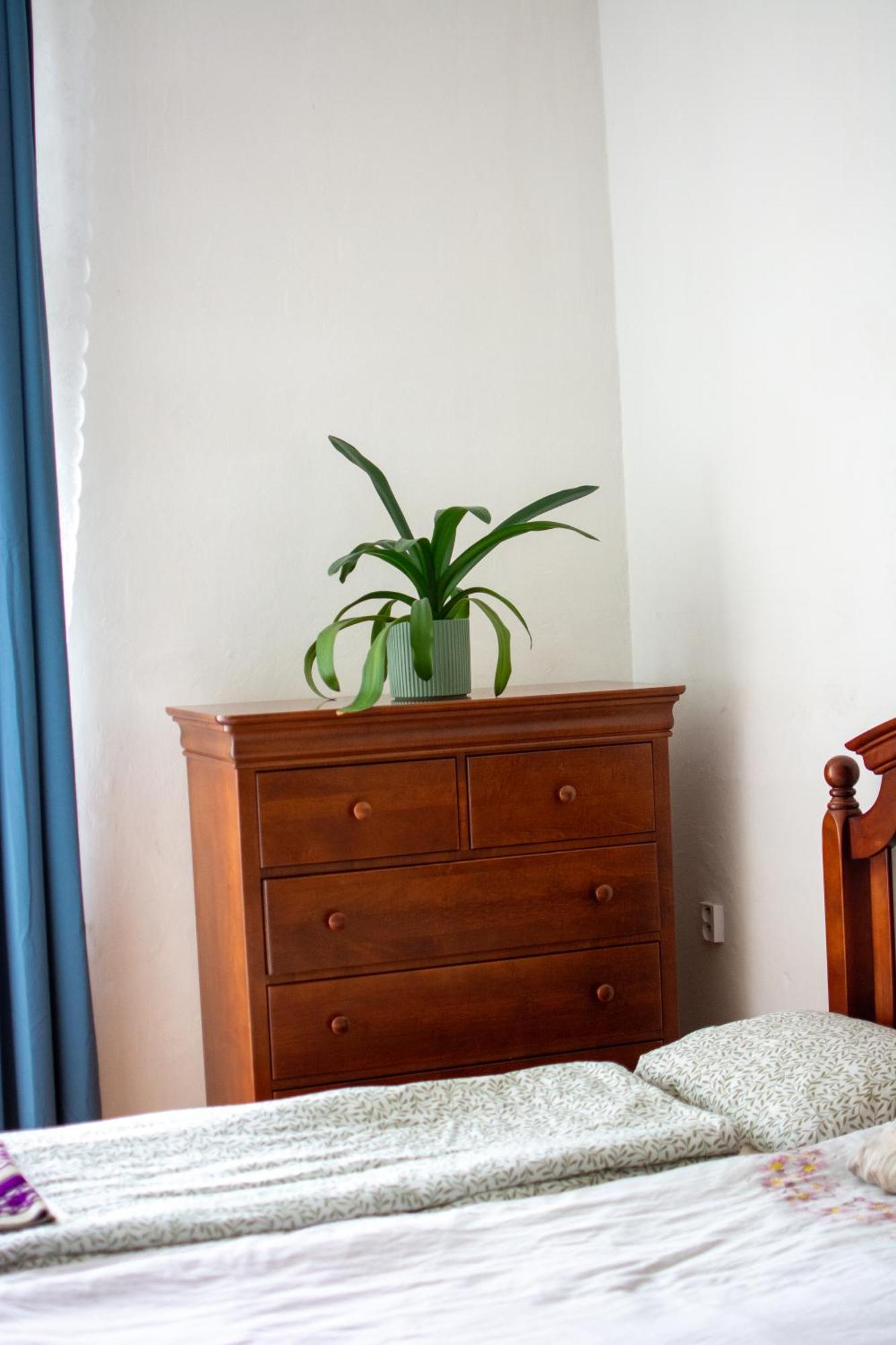 Hostel Moravia اوسترافا المظهر الخارجي الصورة